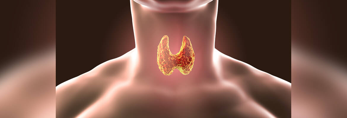 THE THYROID DIET