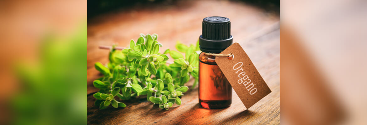 WHY USE OREGANO OIL