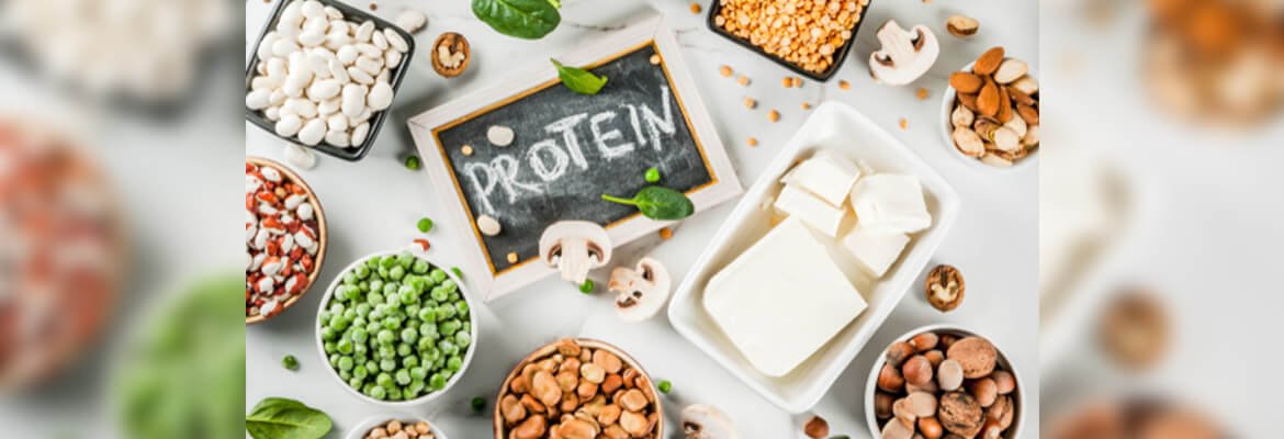 THE BASICS OF PROTEIN: SOME TAKEAWAYS-