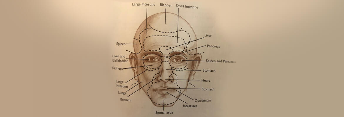 MACROBIOTIC ORGAN DIAGNOSIS.