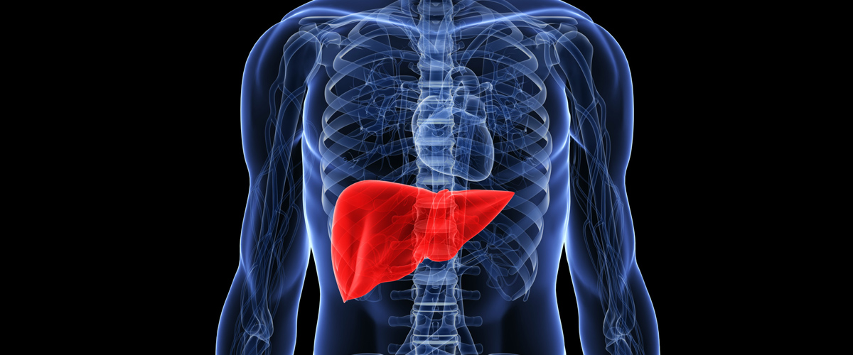 DETOXIFYING YOUR LIVER