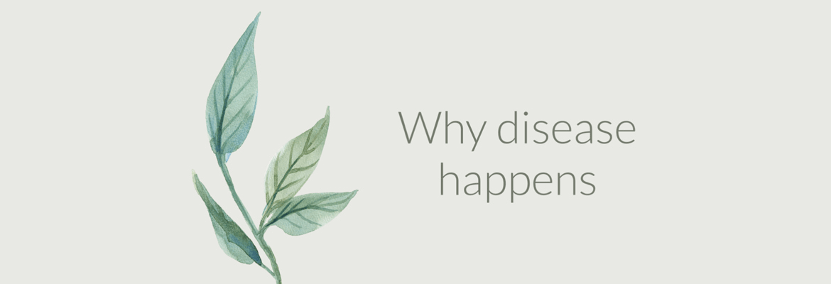 WHY DISEASE HAPPENS