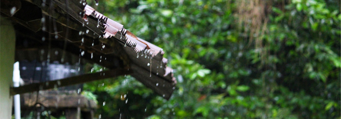 How the Monsoon Affects Your Health: A Macrobiotic Perspective