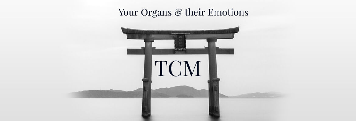 ORGANS AND THEIR CORRESPONDING EMOTIONS