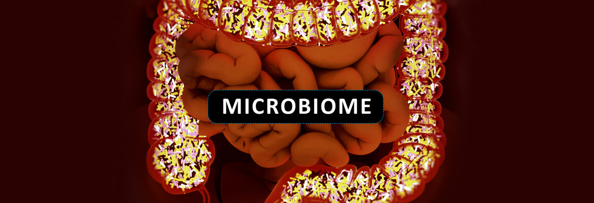 DIGESTION, FOODS AND YOUR MICROBIOME